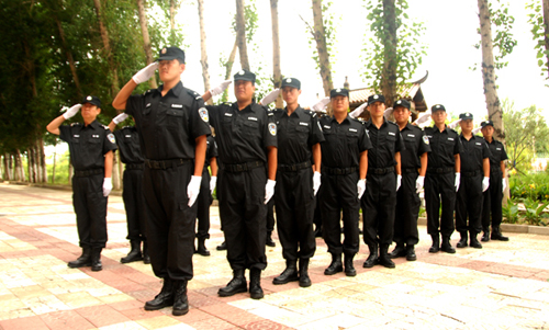 满十二年转业士官安置事业单位是什么编制-20